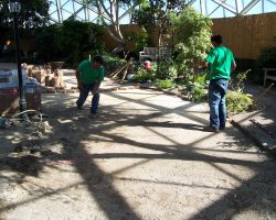 Domes 2