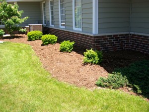 Milwaukee Area Landscape Contractor | Southeast Wisconsin | MJDs LLC