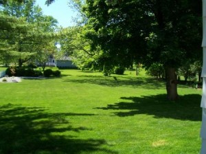 Post Back Yard